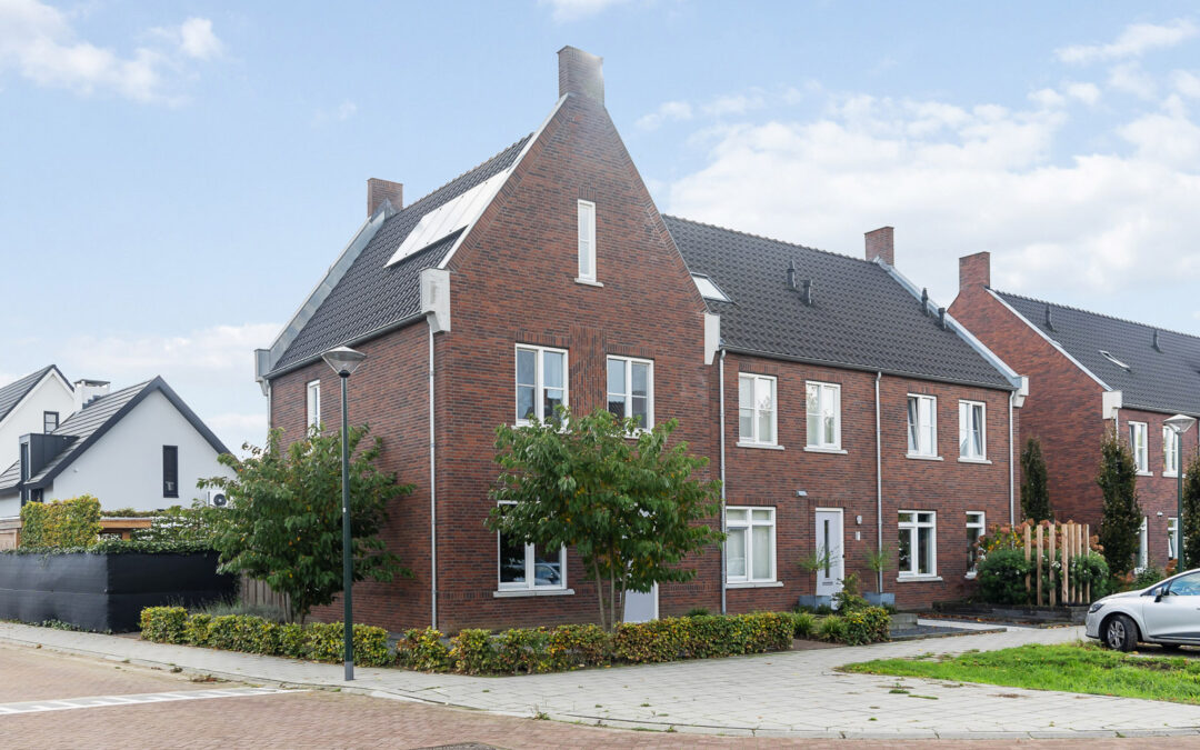 Achterbolst